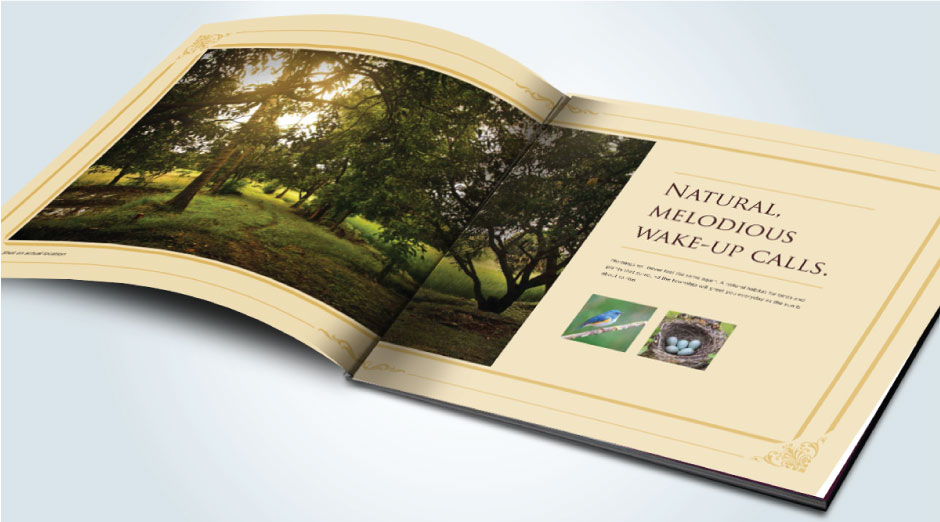 young-advertising-agency-archives-Sumeet-Greendale-3