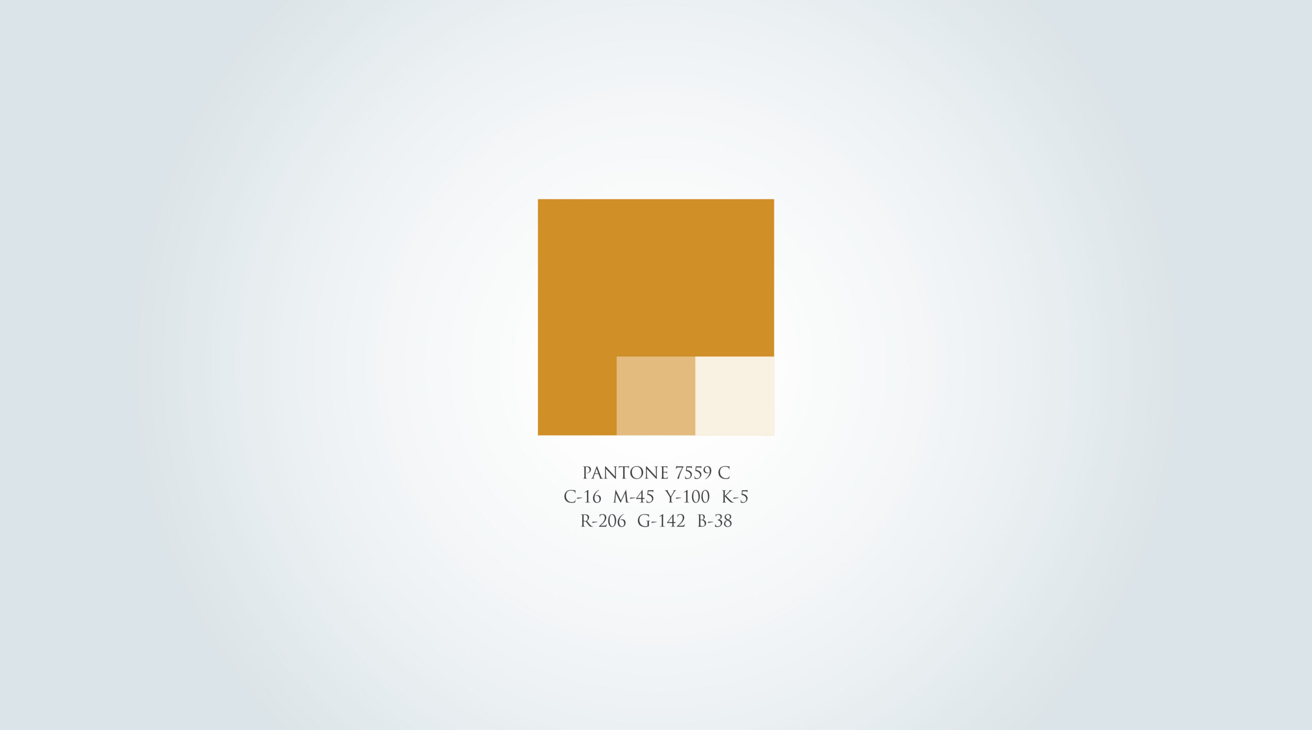 young-advertising-agency-casestudy-runwal-2
