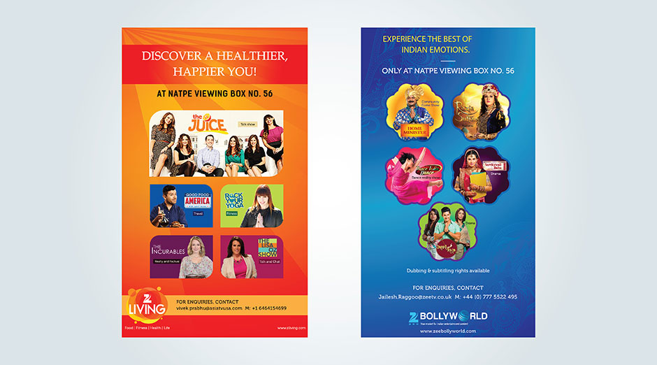 young-advertising-agency-casestudy-zee-bollyworld-5