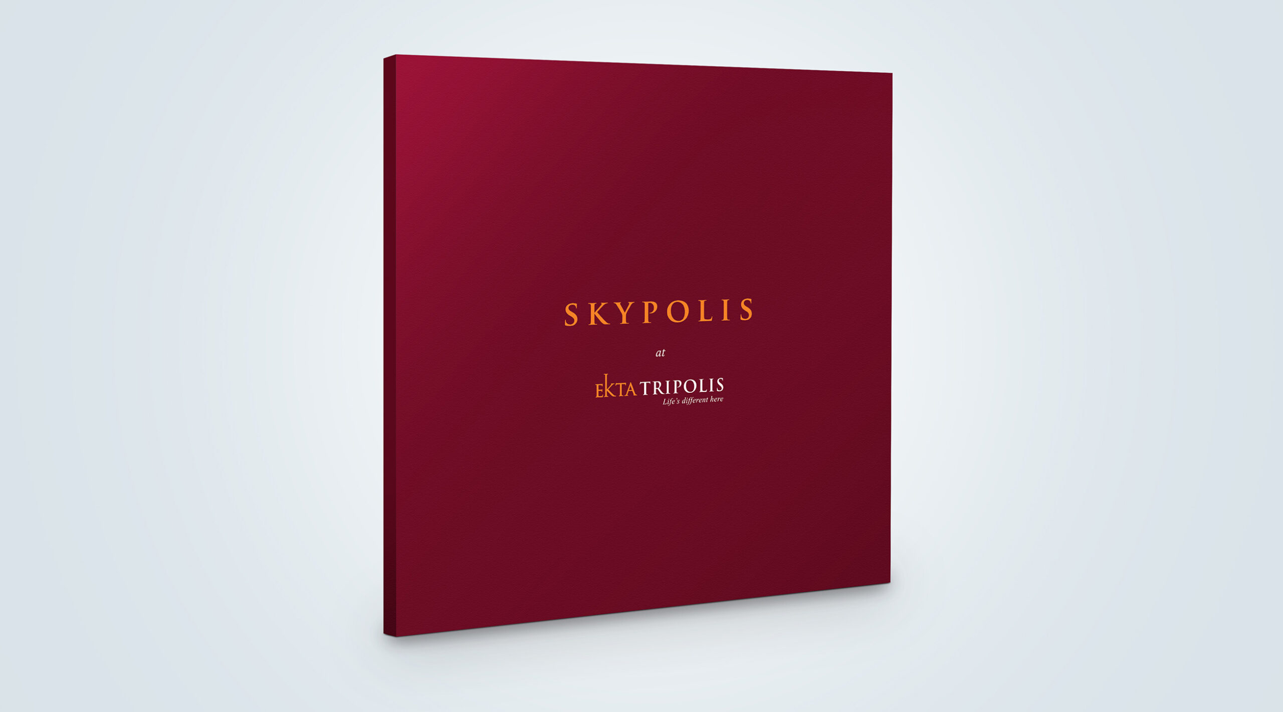 young-advertising-agency-creative-ekta-skypolis-11.JPG