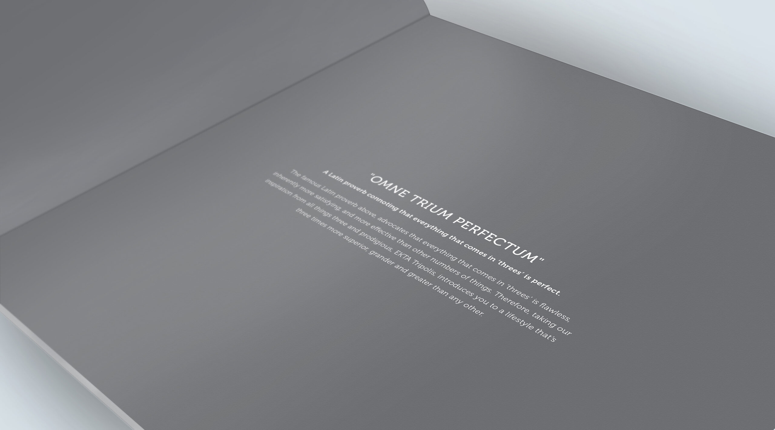 young-advertising-agency-creative-ekta-skypolis-13.JPG